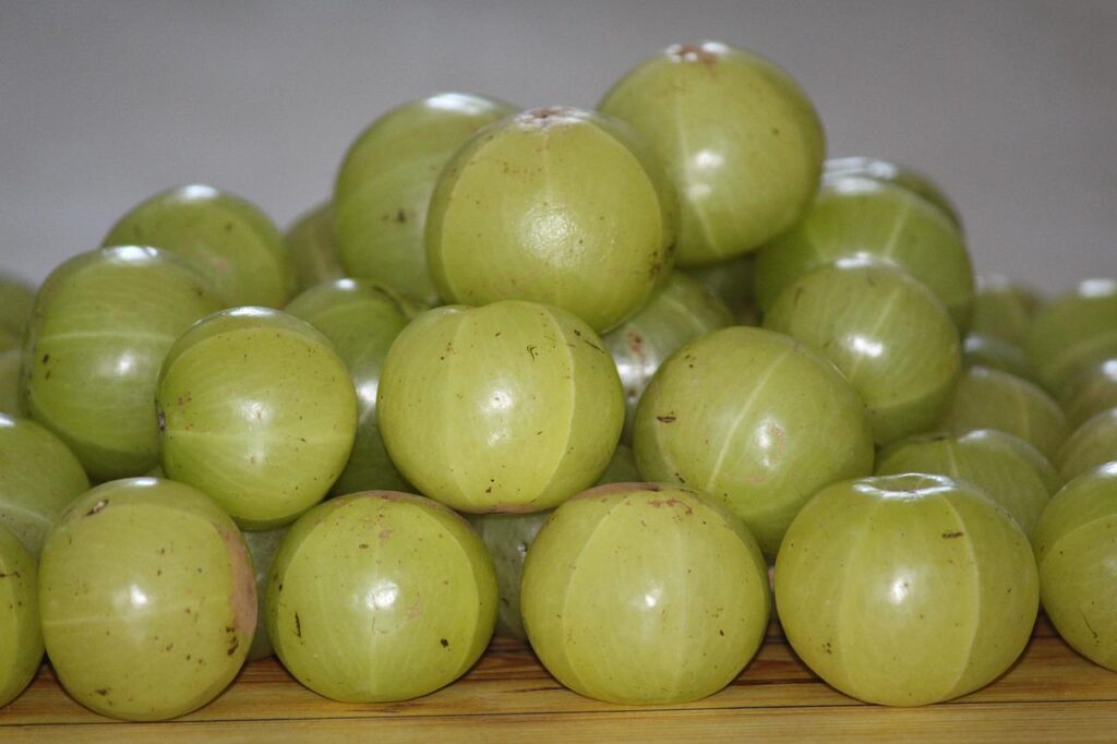 amla 1