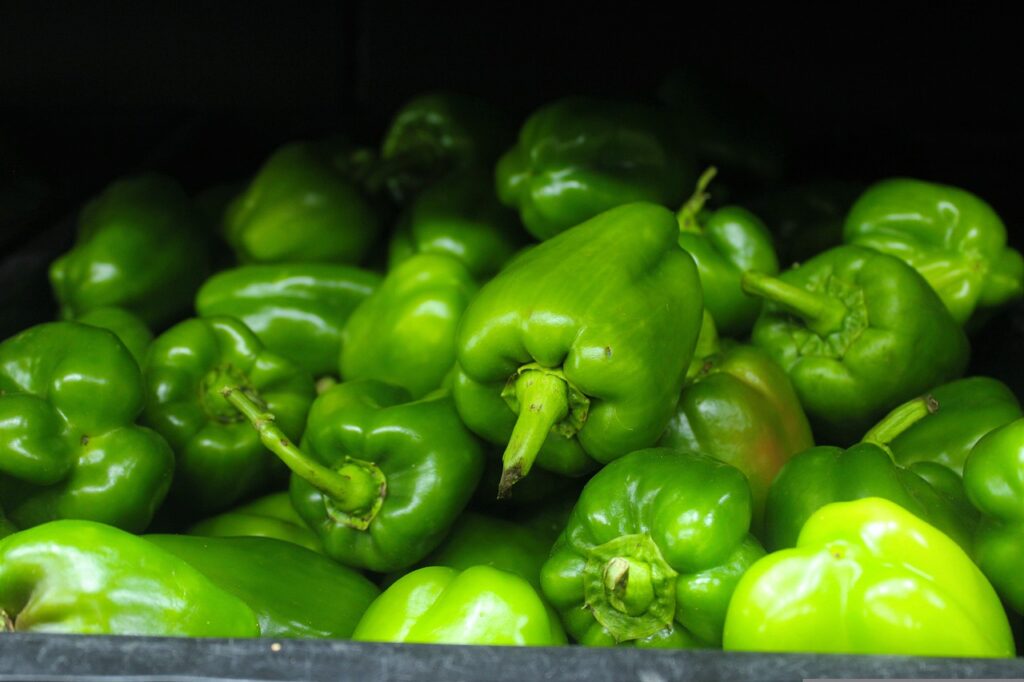 capsicum